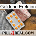 Golden Erection new13